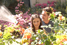 Louise’s Garden